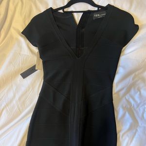 Aritzia babaton bodycon mini dress